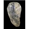 Image 2 : Oversized Clear Plastic Skull (Approx. 48x48)