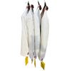 Image 1 : Group of Set Dec Blazers 1 Hero Worn