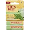 Image 1 : NEW 2 X 4.25G BURTS BEES CUCUMBER MINT LIP BALM