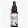 Image 1 : NEW 60ML HERBION EXTRA STRENGTH HEMP OIL FOR DOGS