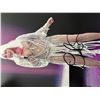Image 1 : Cher signed photo