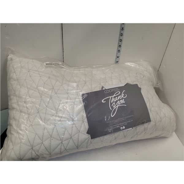New Coop Home Goods Memory Pillow