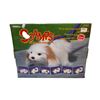 Image 1 : 1991 Scamps The Walk And Cuddle Puppy Toy