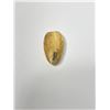 Image 2 : 14K Solid Gold Press On Finger Nail