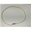 Image 1 : Sterling Clasp Pearl Necklace