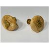 Image 1 : Walrus Ivory And Gold Nugget G.F. Earrings