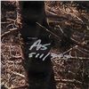 Image 2 : Framed Print Of Forest Signed A. S.,  511 Of 950