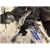 Image 1 : Fistful of Dollars Clint Eastwood signed photo