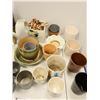 Image 2 : LOT DE 24 POTS DE FLEURS ASST