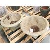 Image 1 : LOT DE 2 POTS EN CIMENT 27"x13"