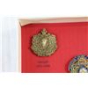 Image 3 : (5) Commemorative Mountie Pins