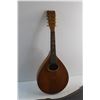 Image 2 : Lute and Case