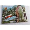 Image 2 : Woodstock Vinyl Records