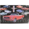 Image 4 : Ford Mustang Tin Sign 15'' x 12''