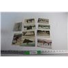 Image 1 : (10) Canadian Winter Sports Post Cards