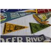 Image 5 : (8) Vintage Pennants (Deer River MB, Knotts Berry Farm, Poplar Wisconsin)