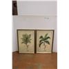 Image 1 : *(2) Framed Floral Art Prints 32" Tall x 22" Wide