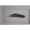 Image 2 : Framed Feather Art 25'' x 16''