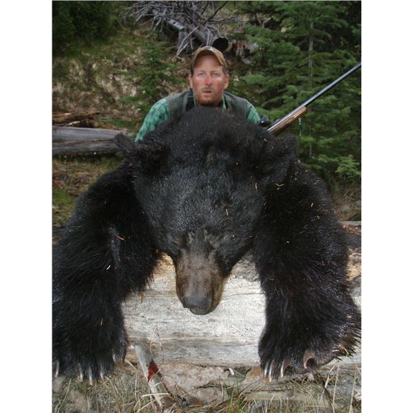 7 Day Spring Black Bear Hunt for 2 Hunters