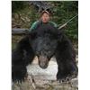 Image 1 : 7 Day Spring Black Bear Hunt for 2 Hunters