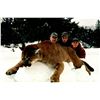 Image 3 : 7 Day Cougar and Lynx Combo Hunt