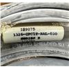 Image 4 : Allen-Bradley #1326-CPC1T-RAL-030 Servo Motor Power Cable