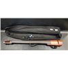 Image 1 : NS DESIGN NXT4 ELECTRIC UPRIGHT BASS WITH CASE AND BOW