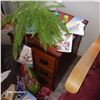 Image 2 : Small Potted Plant