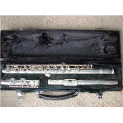 Flute in case