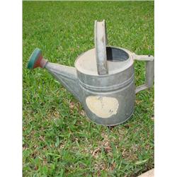 Galvanized watering can w/spout