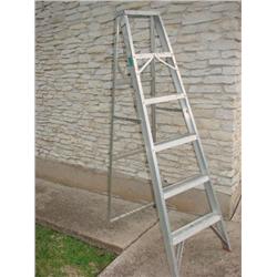 Aluminum Type II - 6 ft. ladder