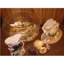 Seashells & Seashell light