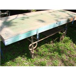 Gurney-great table on wheels for workshop!