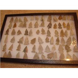 Large arrowhead collection-72 arrowheads!