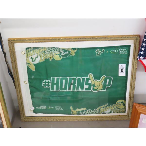 TB Bulls Horns Up Framed Flag