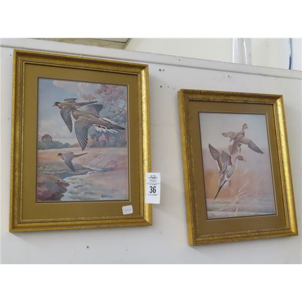 Framed Avian Wall Art - 2