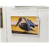 Image 1 : Pelican Photo