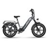 Image 1 : Himiway Big Dog Electric Cargo Bike