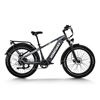 Image 1 : Himiway D5 Zebra Fat Tire E-Bike