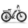 Image 1 : Himiway D3 Cruiser Step Thru All Terrain Electric Bike