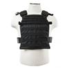 Image 1 : VISM Fast Plate Carrier 10"X12"- Black
