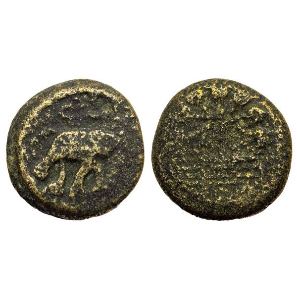 Satavahanas, Siri Satakarni, Newase-Paithan Region, Brass Unit, 13.52Grms