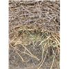 Image 3 : Alfalfa Round Hay Bales     Avg Wt 1130 lbs