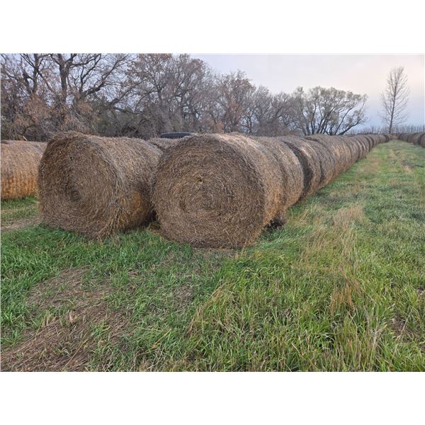 Alfalfa Round Hay Bales     Avg Wt 1130 lbs