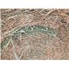 Image 4 : Alfalfa Hay Round Hay Bales - Brett Young Seed-   Avg Wt  1243 lbs