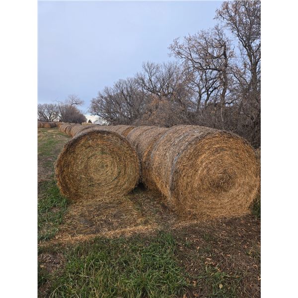 Alfalfa Hay Round Hay Bales - Brett Young Seed Variety -   Avg Wt  1243 lbs