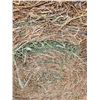 Image 3 : Alfalfa Hay Round Hay Bales - Brett Young Seed Variety -   Avg Wt  1243 lbs