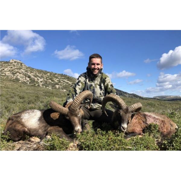 LA ESPADELLA: 4 Day/3 Night “Hunters Choice” Hunt in Spain with La Espadella for 1