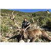 Image 3 : LA ESPADELLA: 4 Day/3 Night “Hunters Choice” Hunt in Spain with La Espadella for 1