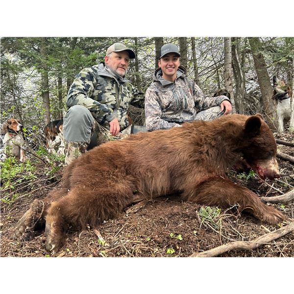 HEAVEN'S GATE OUTFITTERS: 5 day 1x1 Black Bear Hunt for 2 Hunters in Idaho
